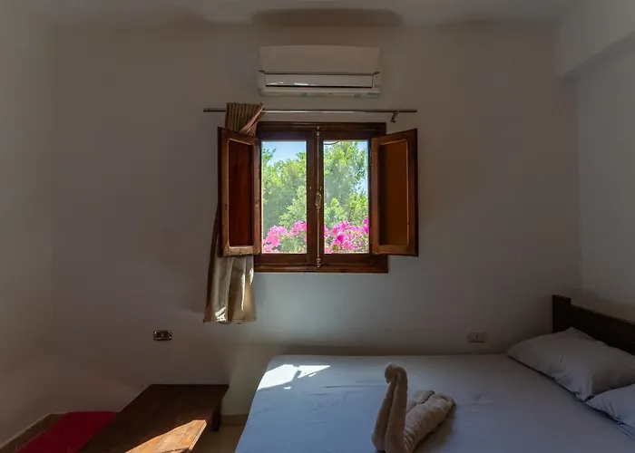 Wanas * Dahab